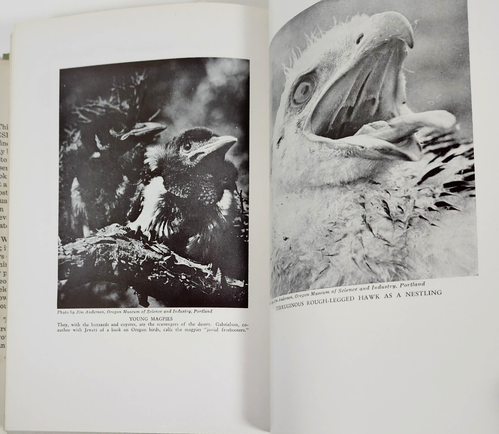 The Oregon Desert by E.R. Jackman/R Lang (1st Ed 1964) SIGNED