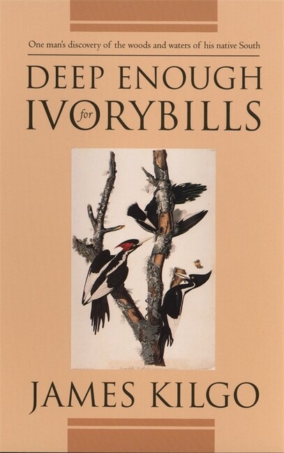Deep Enough For Ivorybills