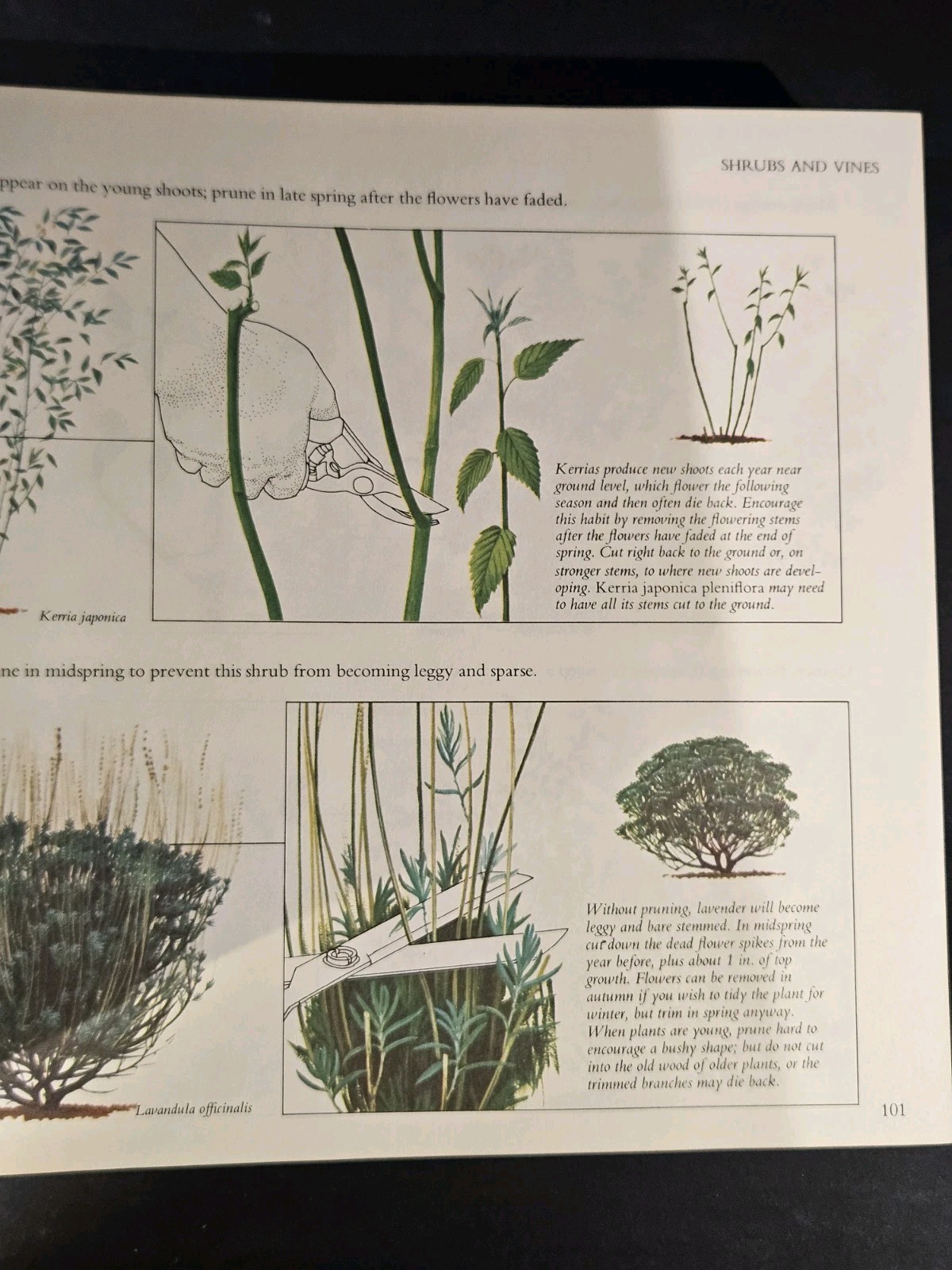 Reader’s Digest Illustrated Guide to Gardening in Canada 1979 640 Pages HC