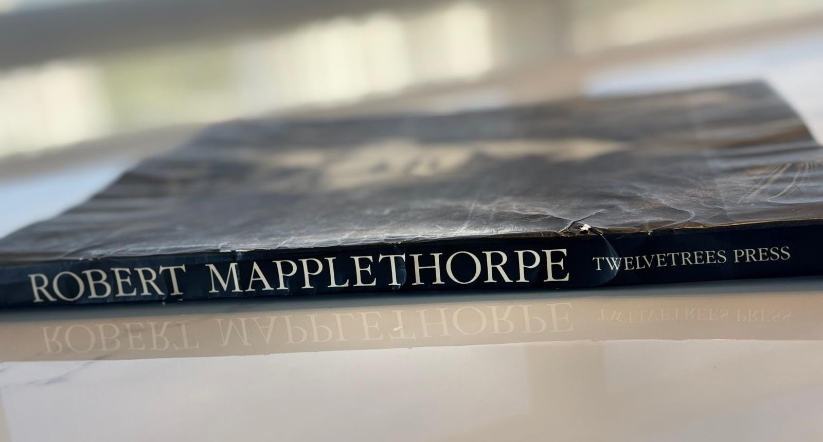 Robert Mapplethorpe: Certain People 1st Ed Twelvetrees Press 1985 Book