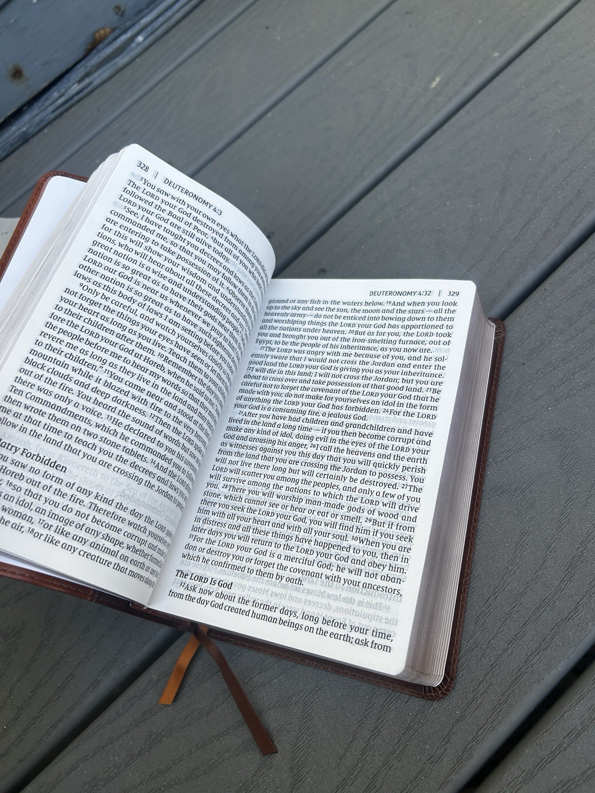 NIV, Giant Print Compact Bible, Leathersoft, Brown, Red Letter, Comfort Prin…