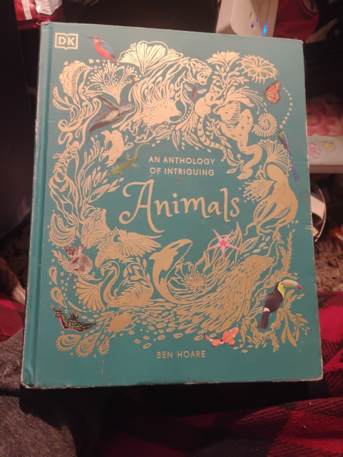 An Anthology of Intriguing Animals Ben Hoare DK Hardcover Illustrated Children’s
