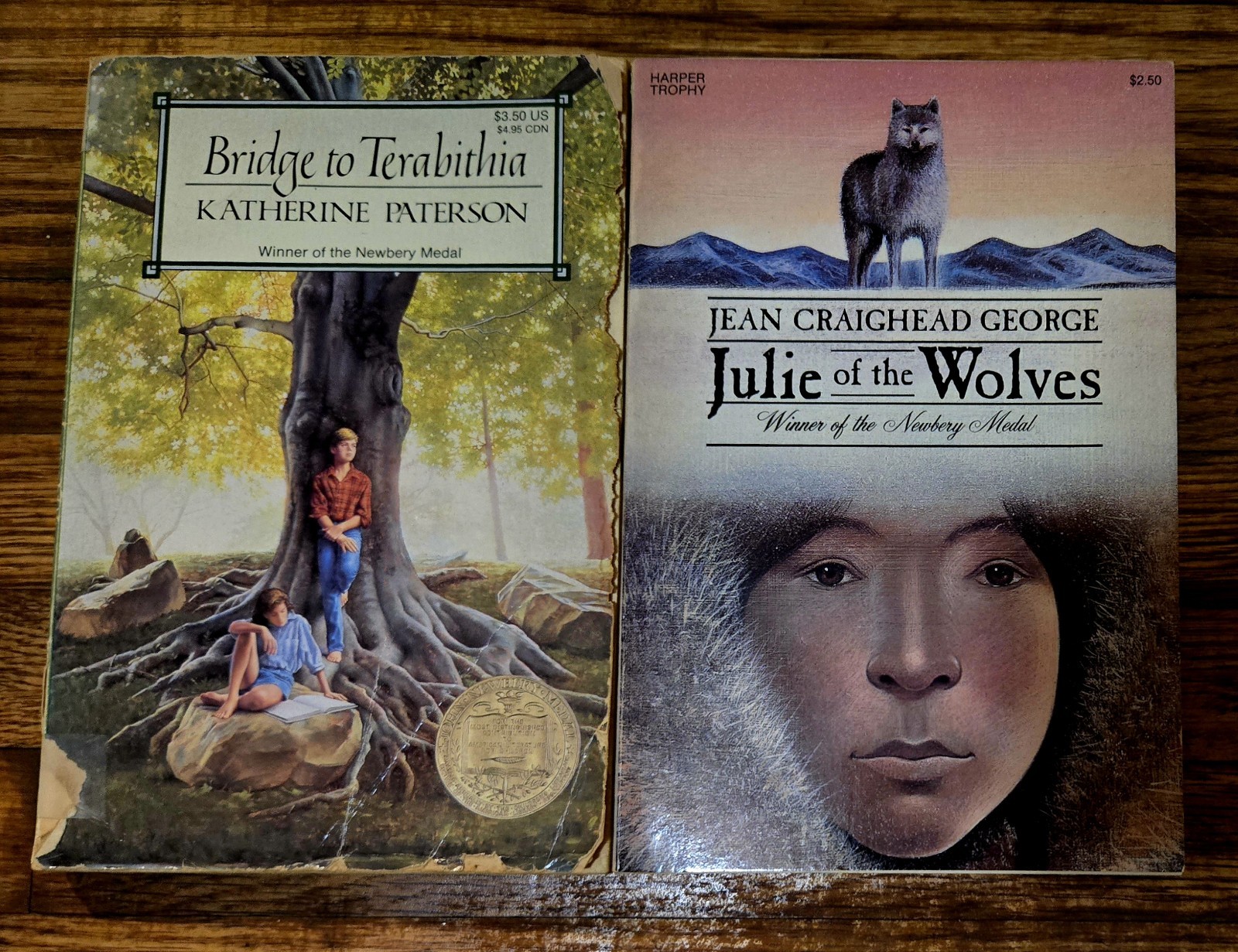 4th 5th Grade 20 Chapter Books Teacher Classroom Library Set Homeschool FB585