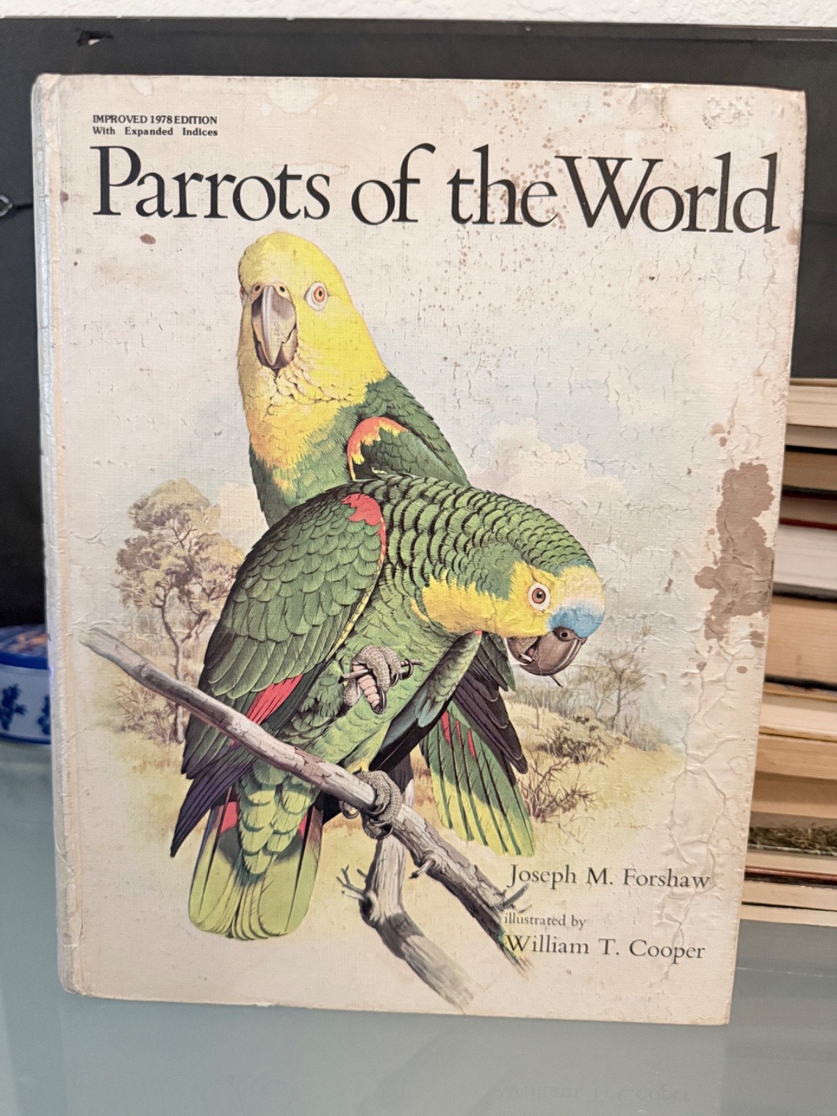Large Book: Parrots of the World Joseph M Forshaw Hardcover 1977 & Illustrated