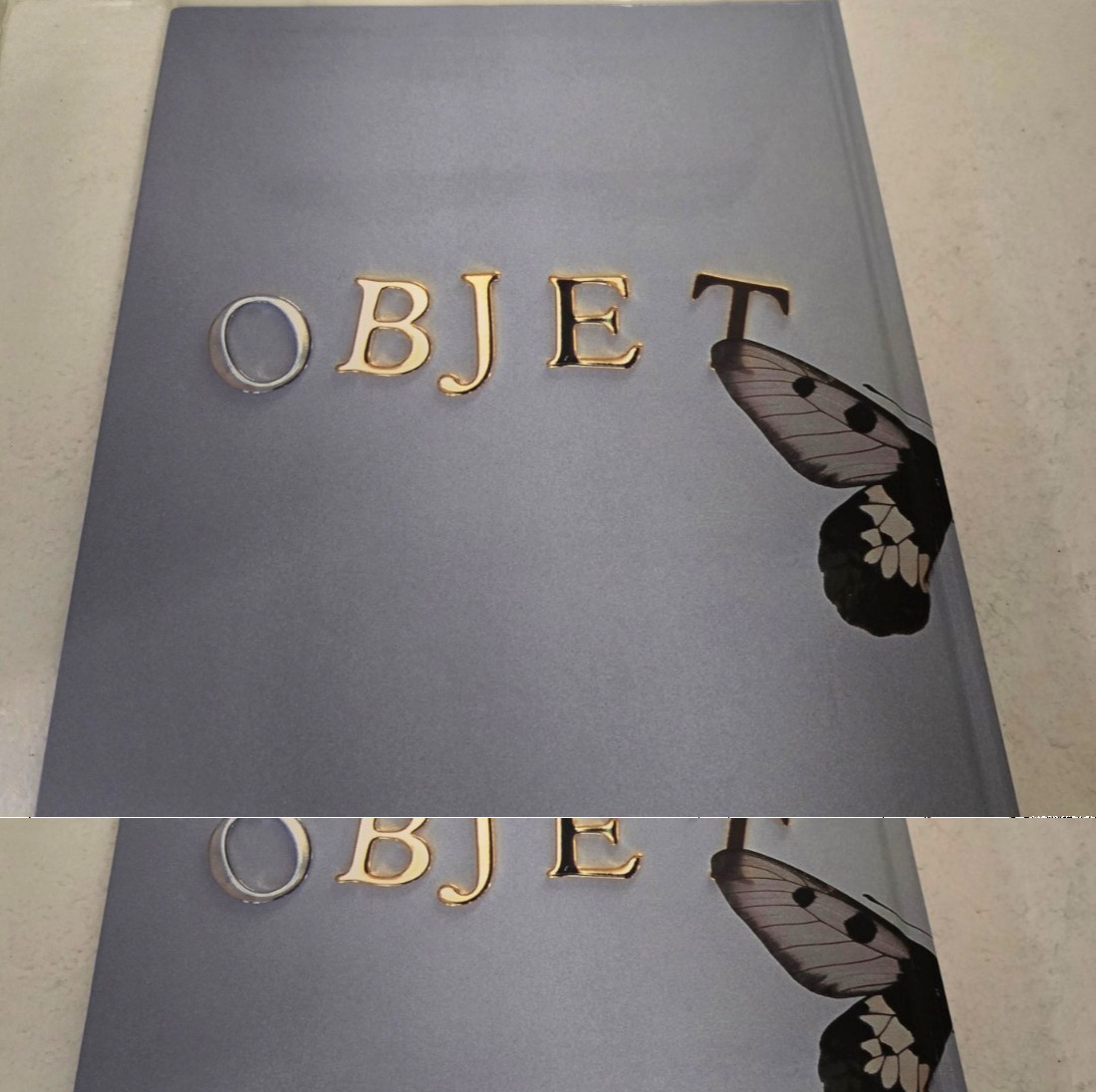 OBJET D`AMOUR (1999, Hardcover) Ryosuke Handa – 1st Edition w/ Adult Sexy Photos