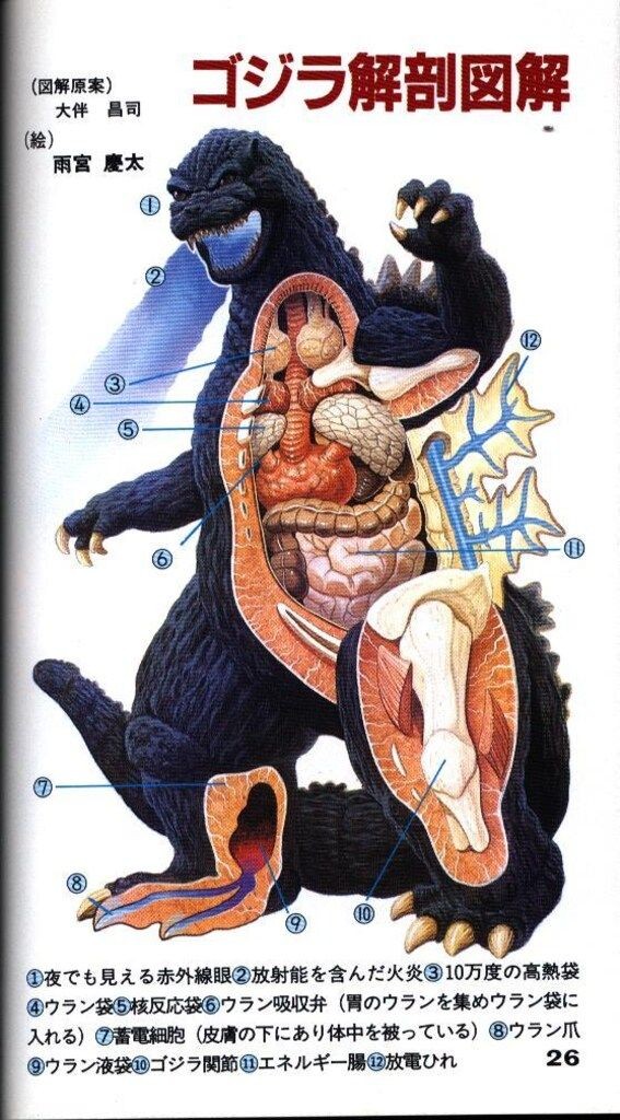 Bandai Entertainment Bible 41 Expanded and Revised Edition/Latest Godzilla
