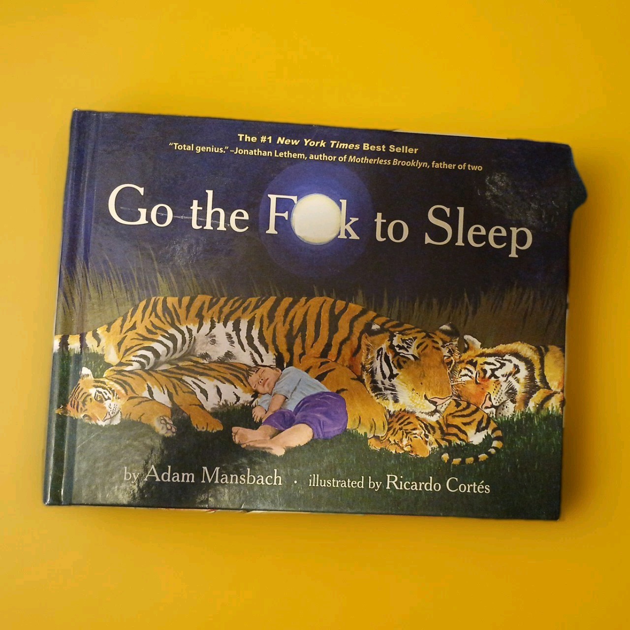Go the Fuck to Sleep by Adam Mansbach (2011, Hardcover)
