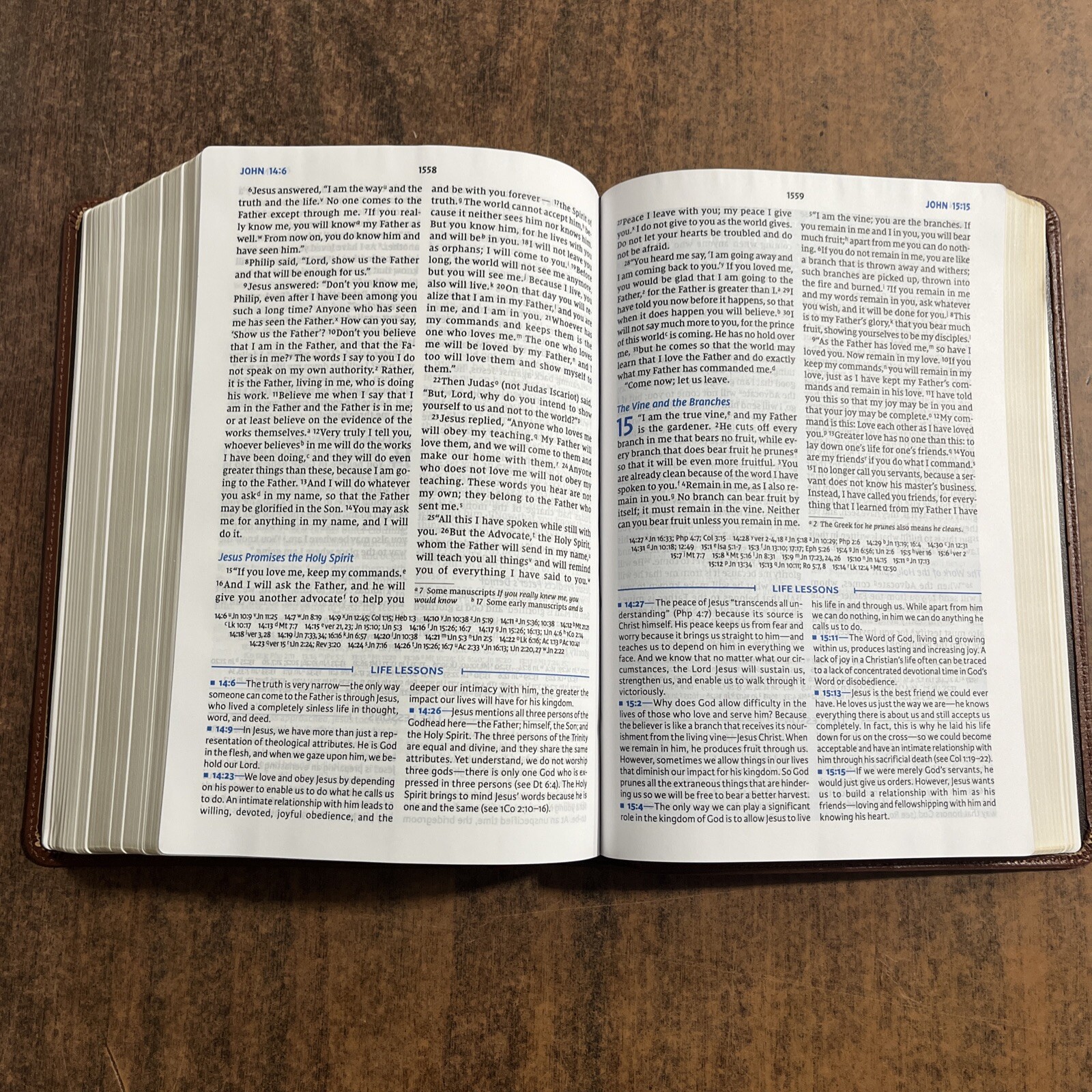 NIV Charles Stanley Life Principles Study Bible – Brown Genuine Leather – $160
