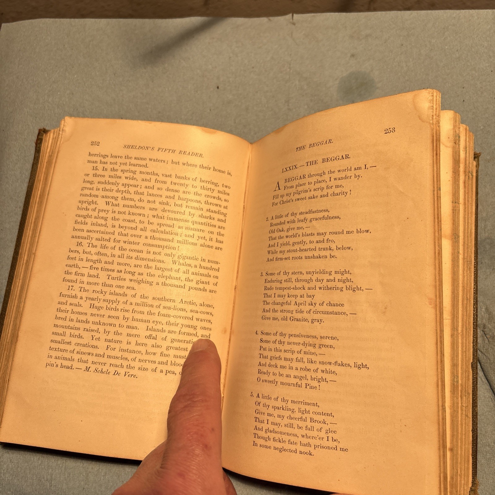 Sheldon’s Fifth Reader By E.A. Sheldon (Scribner,Armstrong,And Co. 1875 free shi