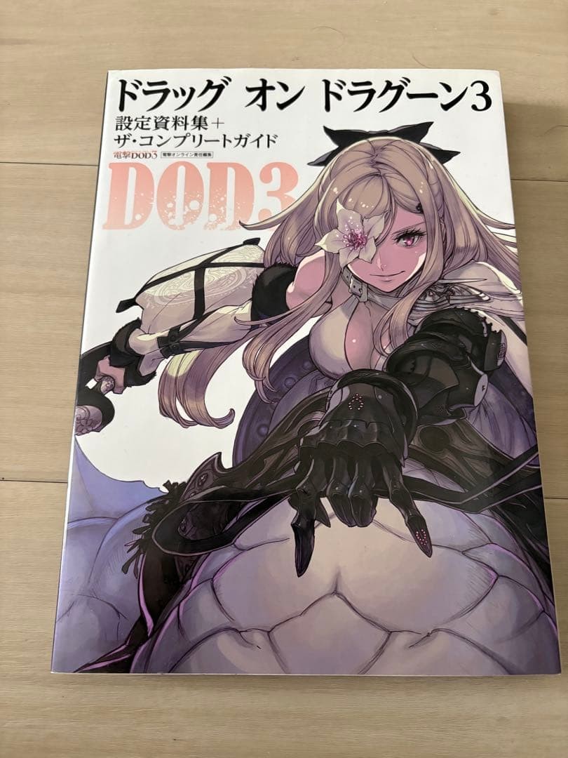 Drag-on Dragoon 3 Art Book & Complete Guide Set Japanese Edition