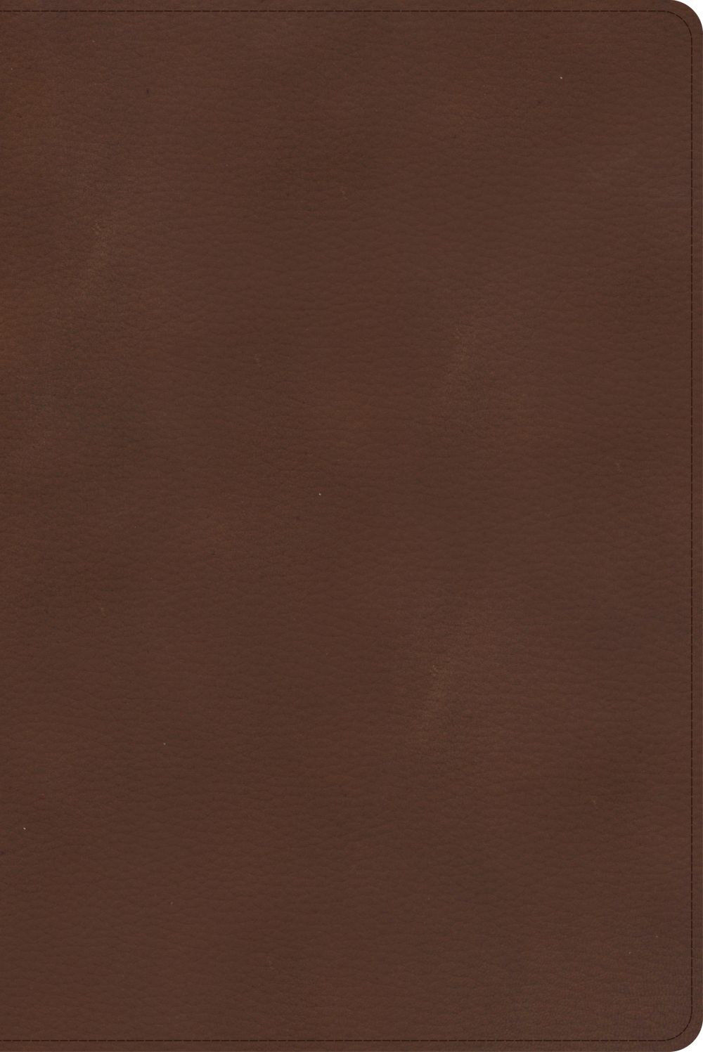 CSB Rainbow Study Bible, Brown LeatherTouch, Full-Color Design, Black Le .. NEW