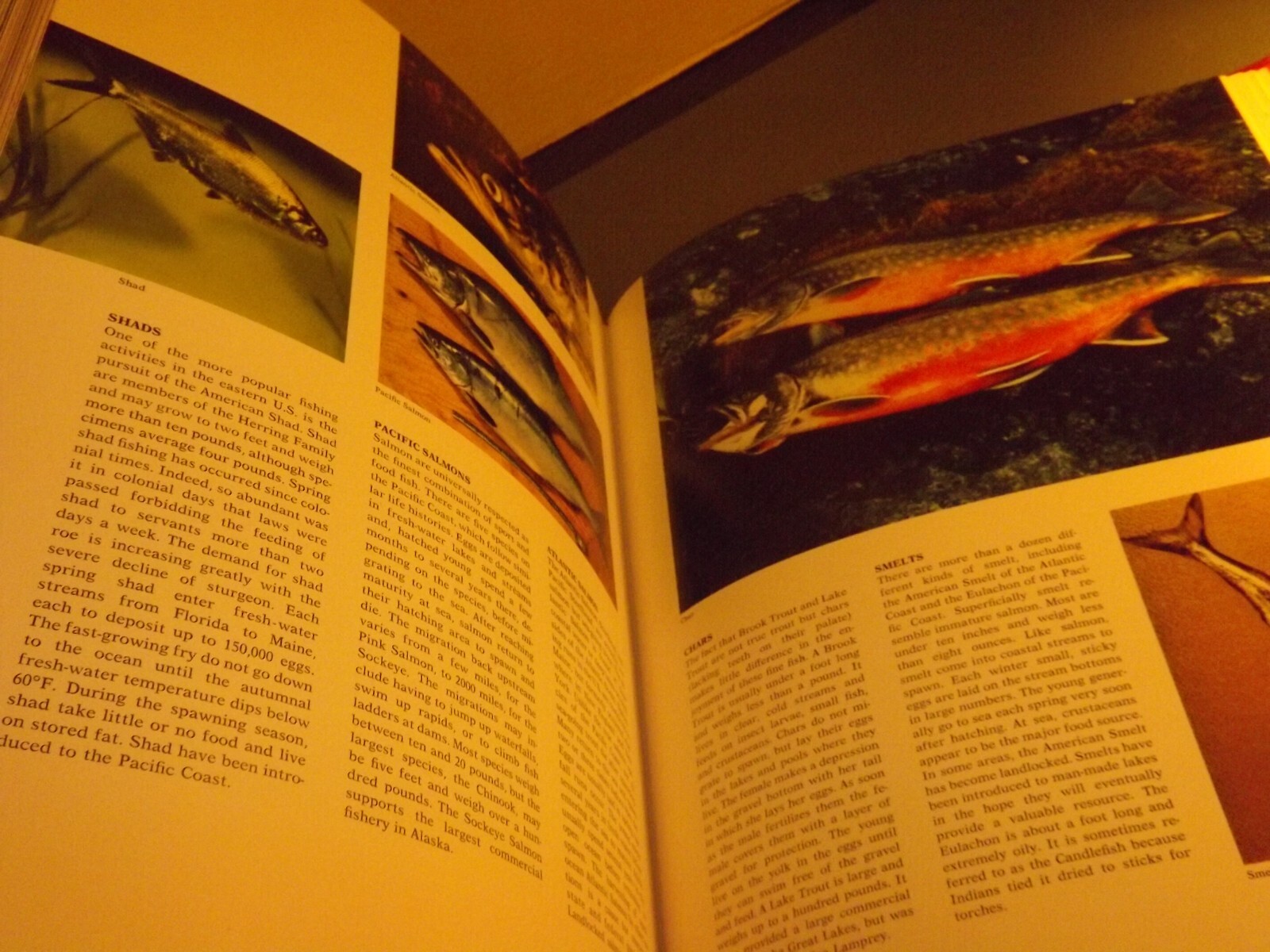 Book: 1973 Hammond Nature Atlas of America 255 pages