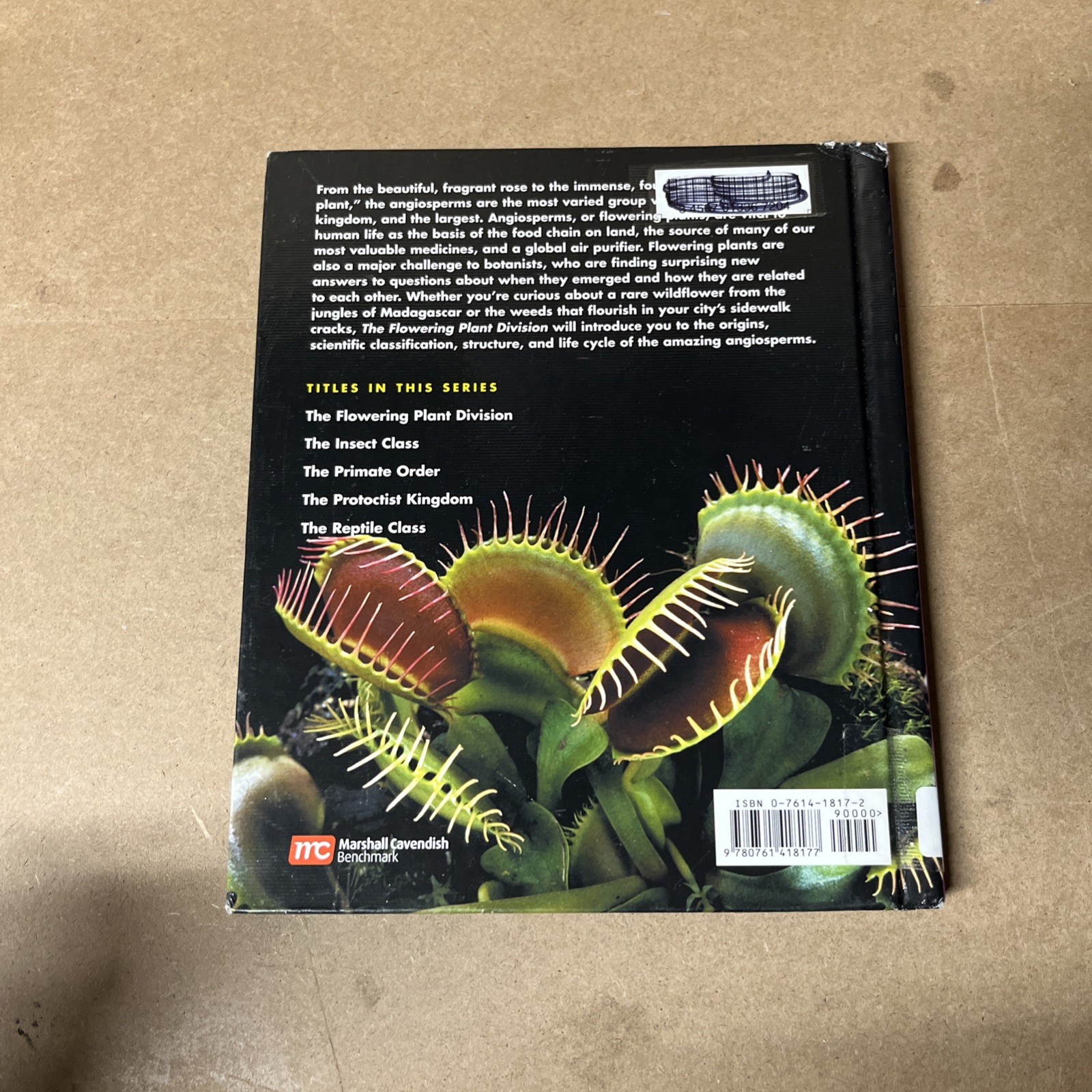 The Flowering Plant Division by Rebecca Stefoff (2006, Hardcover) Good