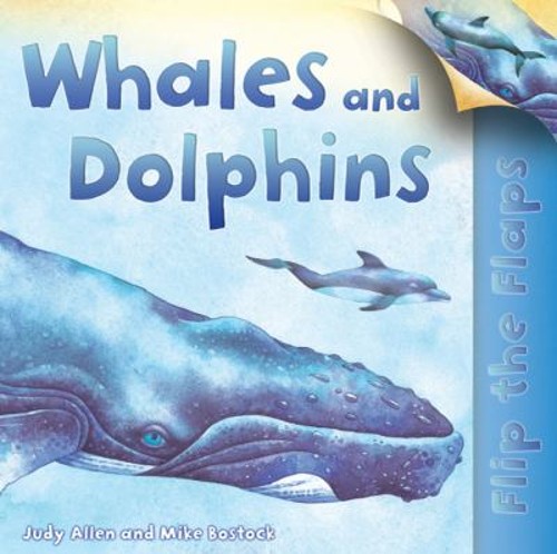 Flip the Flaps: Whales and Dolphins Paperback Judy Allen