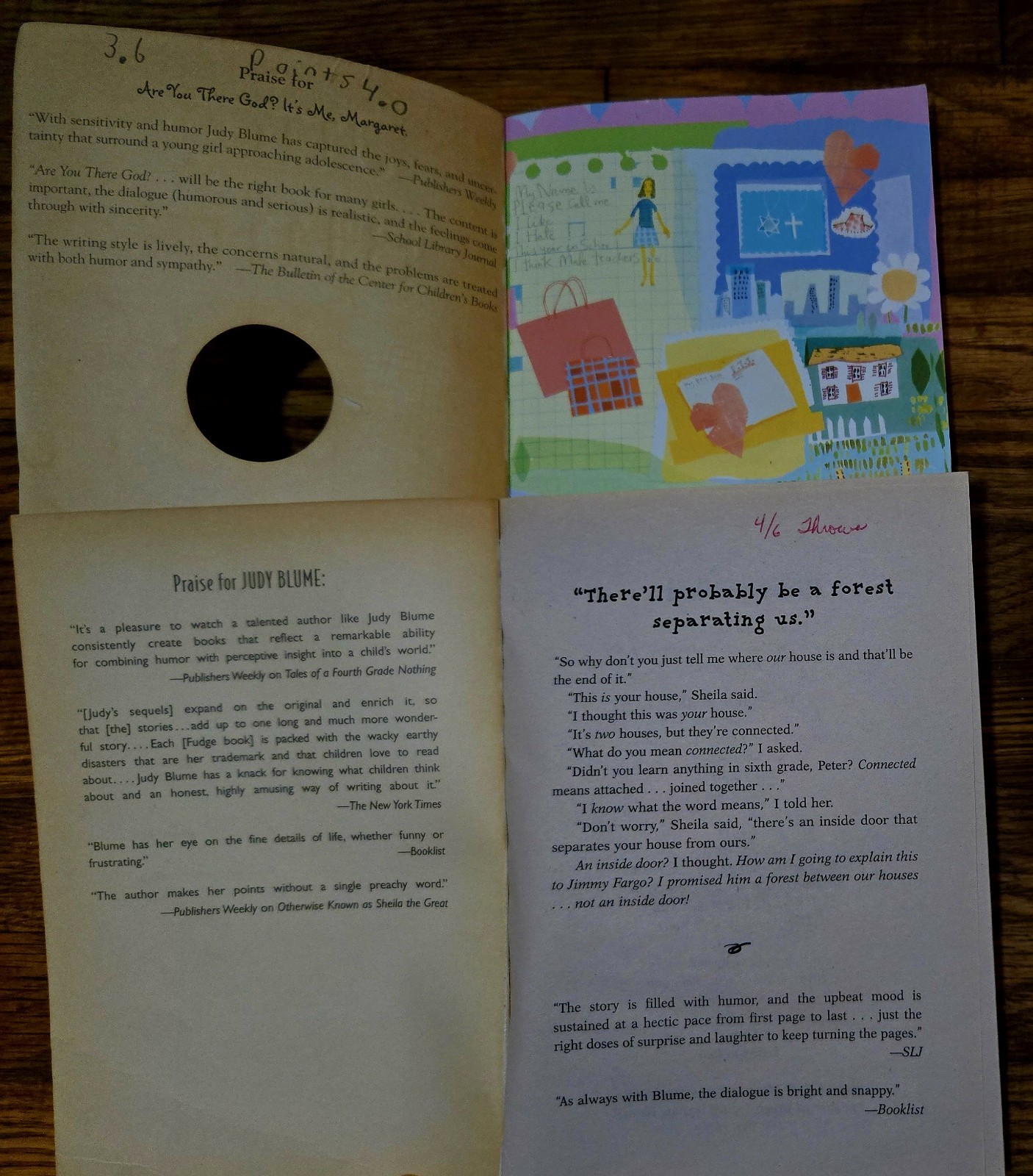 4th 5th Grade 20 Chapter Books Teacher Classroom Library Set Homeschool FB585