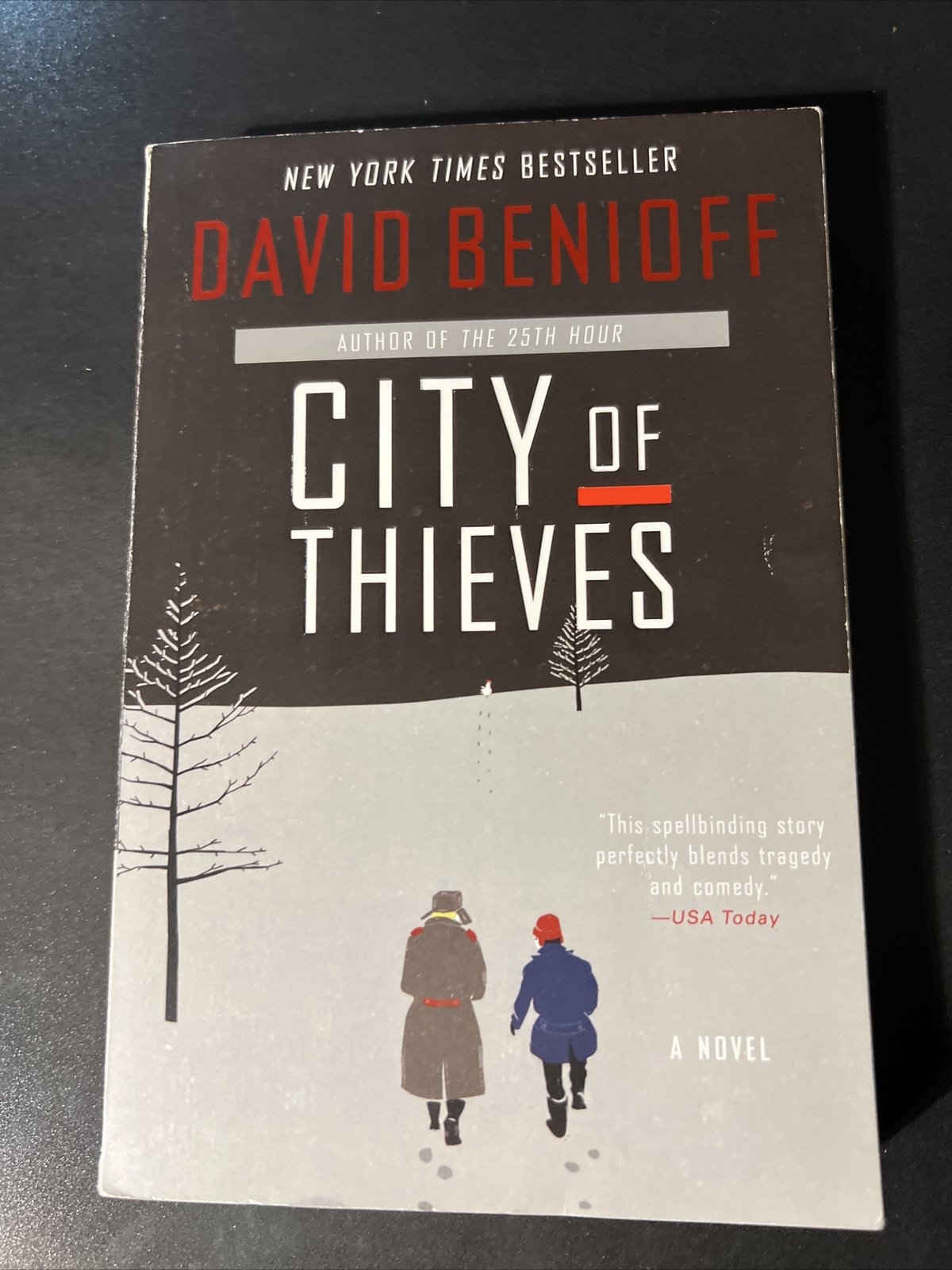 City of Thieves : A Novel by David Benioff (2009, UK-B Format Paperback)
