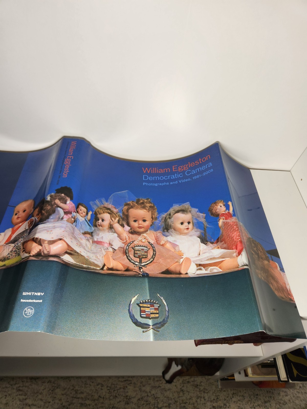 William Eggleston Democratic Camera First Edition/Printing HC Book DJ 2008
