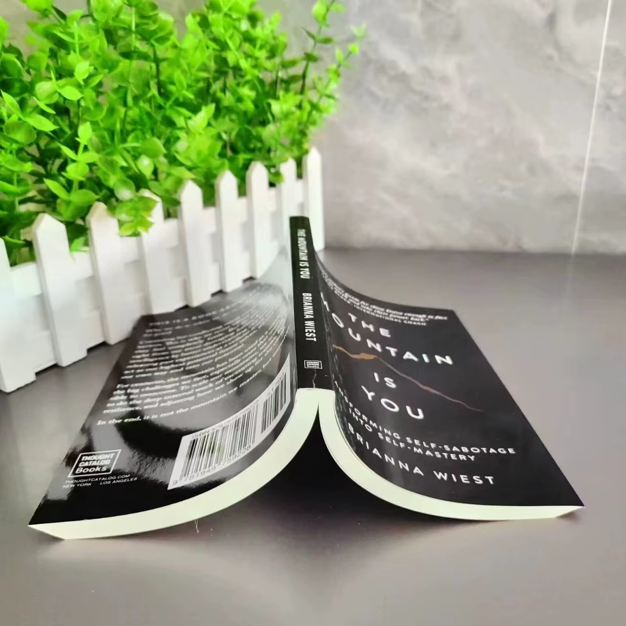 The Mountain Is You by Brianna Wiest: Conquer Your Inner Mountains – Paperback