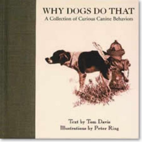 Why Dogs Do That: A Collection of Curious Canine Behaviors by Davis, Tom