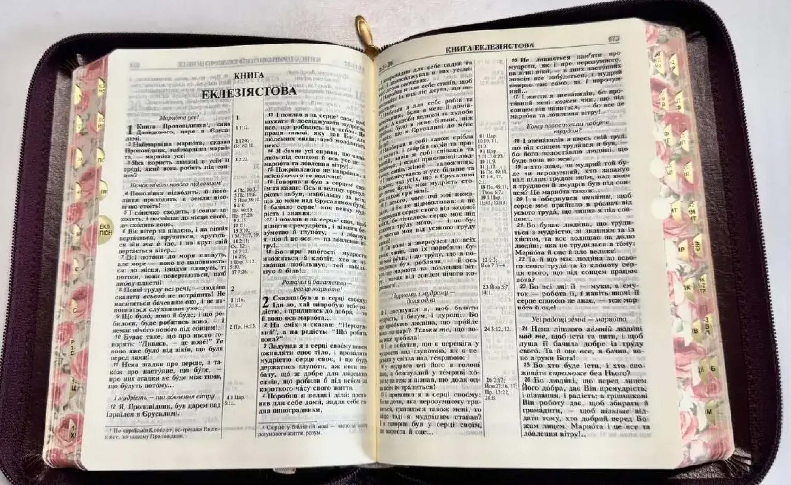 Bible in Ukrainian. Ogienko small format Bible. Old and New Testament Scriptures