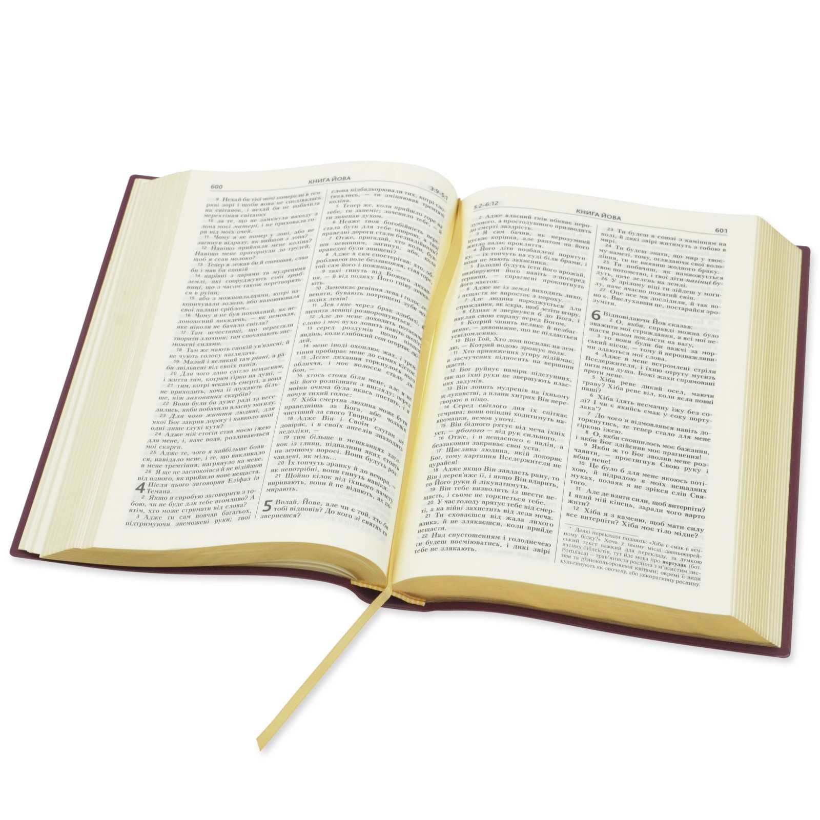 Bible in Ukrainian “БІБЛІЯ” сучасний український Переклад 17х23см великий формат