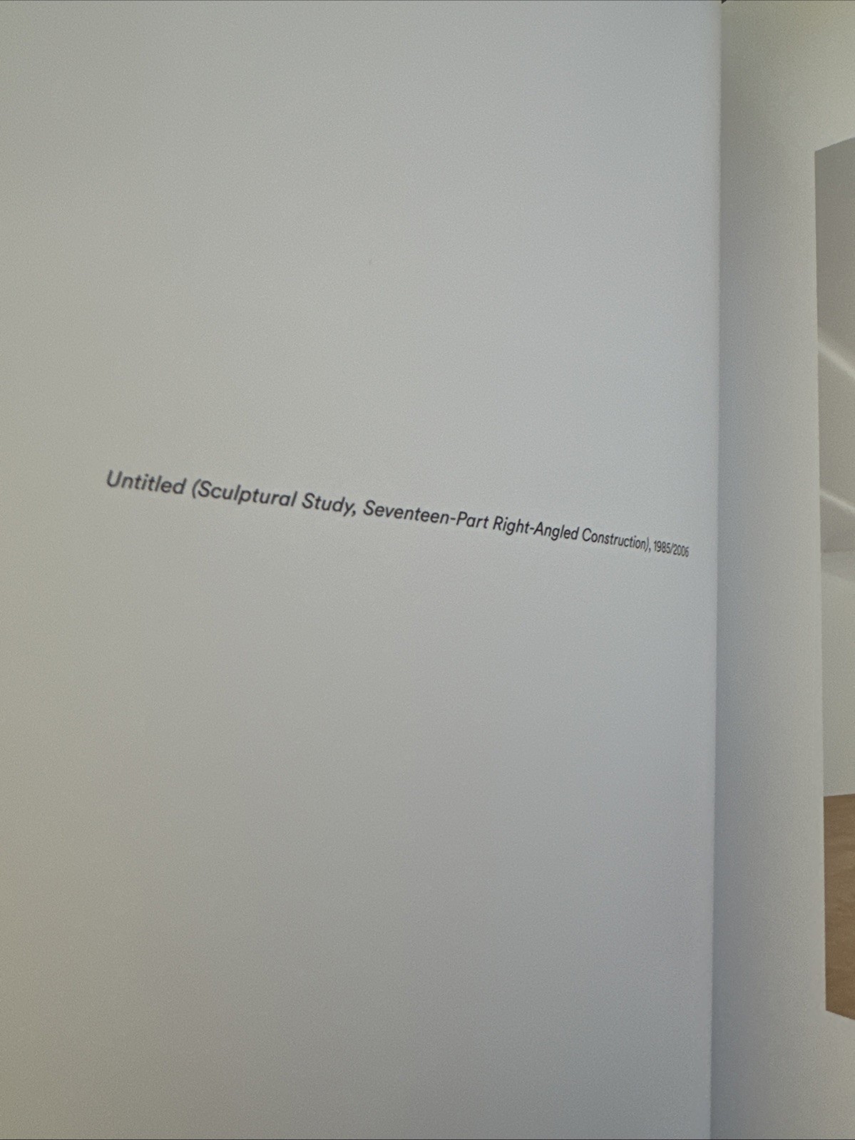 Fred Sandback: Light, Space, Facts – Hardcover, by Rales Emily No Dusk Jacket