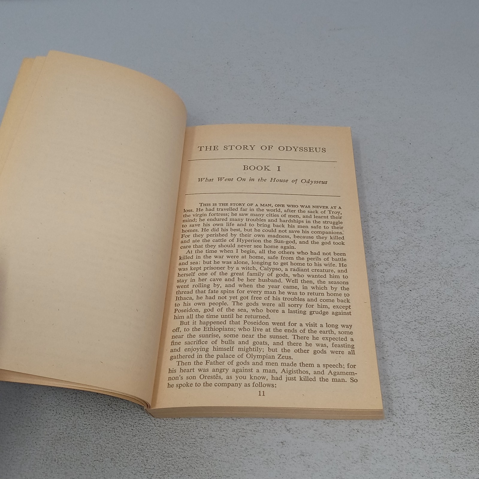 The Odyssey: New American Library Paperback by Homer
