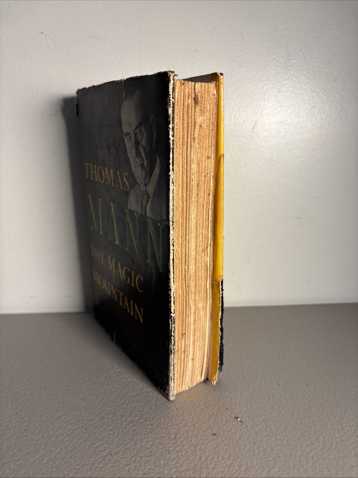 The Magic Mountain Thomas Mann 1955 9th Print HC DJ Alfred A Knopf New York NY
