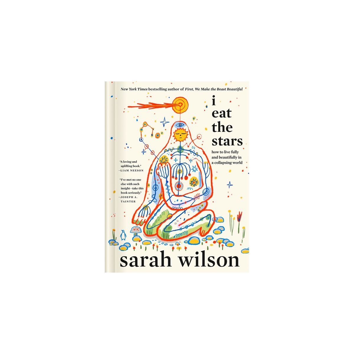 I Eat the Stars – by Sarah Wilson (Hardcover)