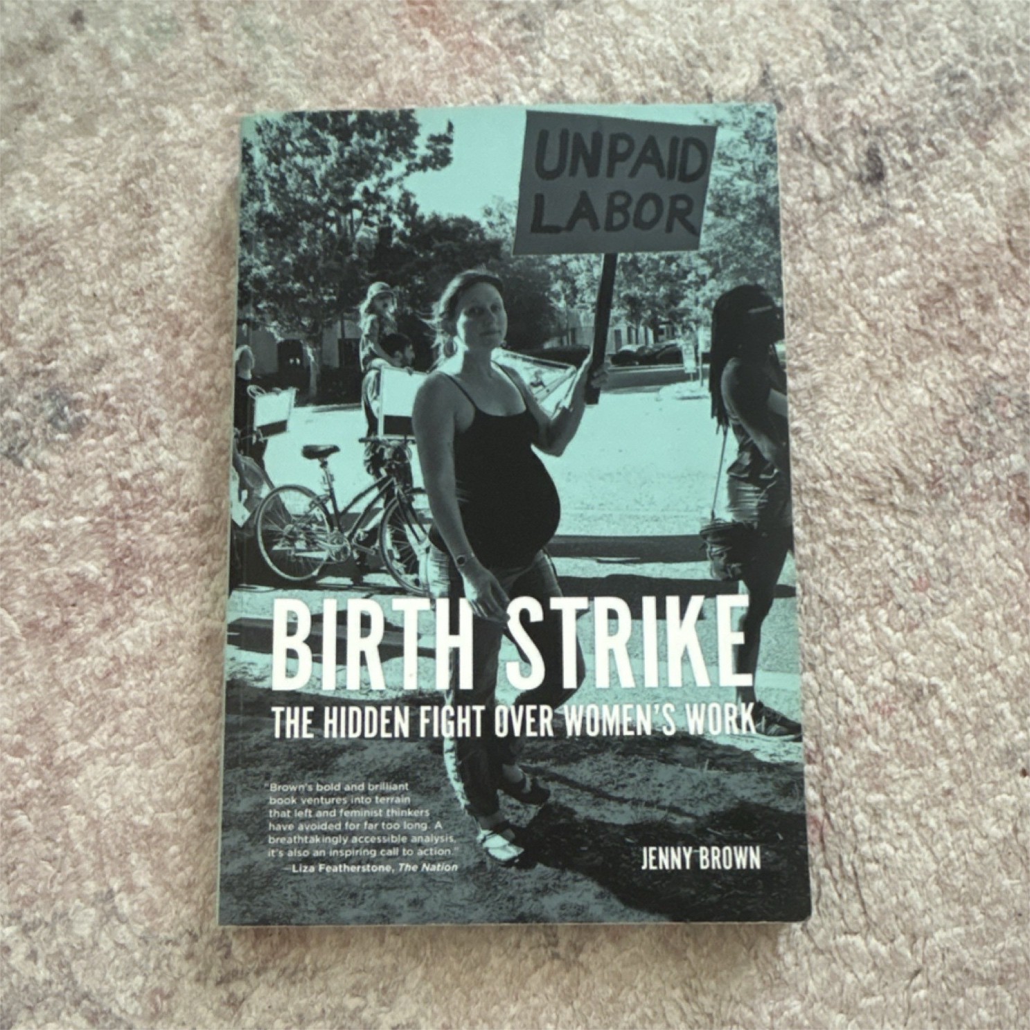 Birth Strike by Jenny Brown PM Press Trade Paperback Social Science Feminism