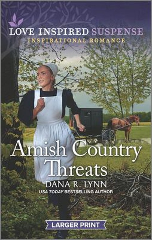 Amish Country Threats Mass Market Paperbound Dana R. Lynn