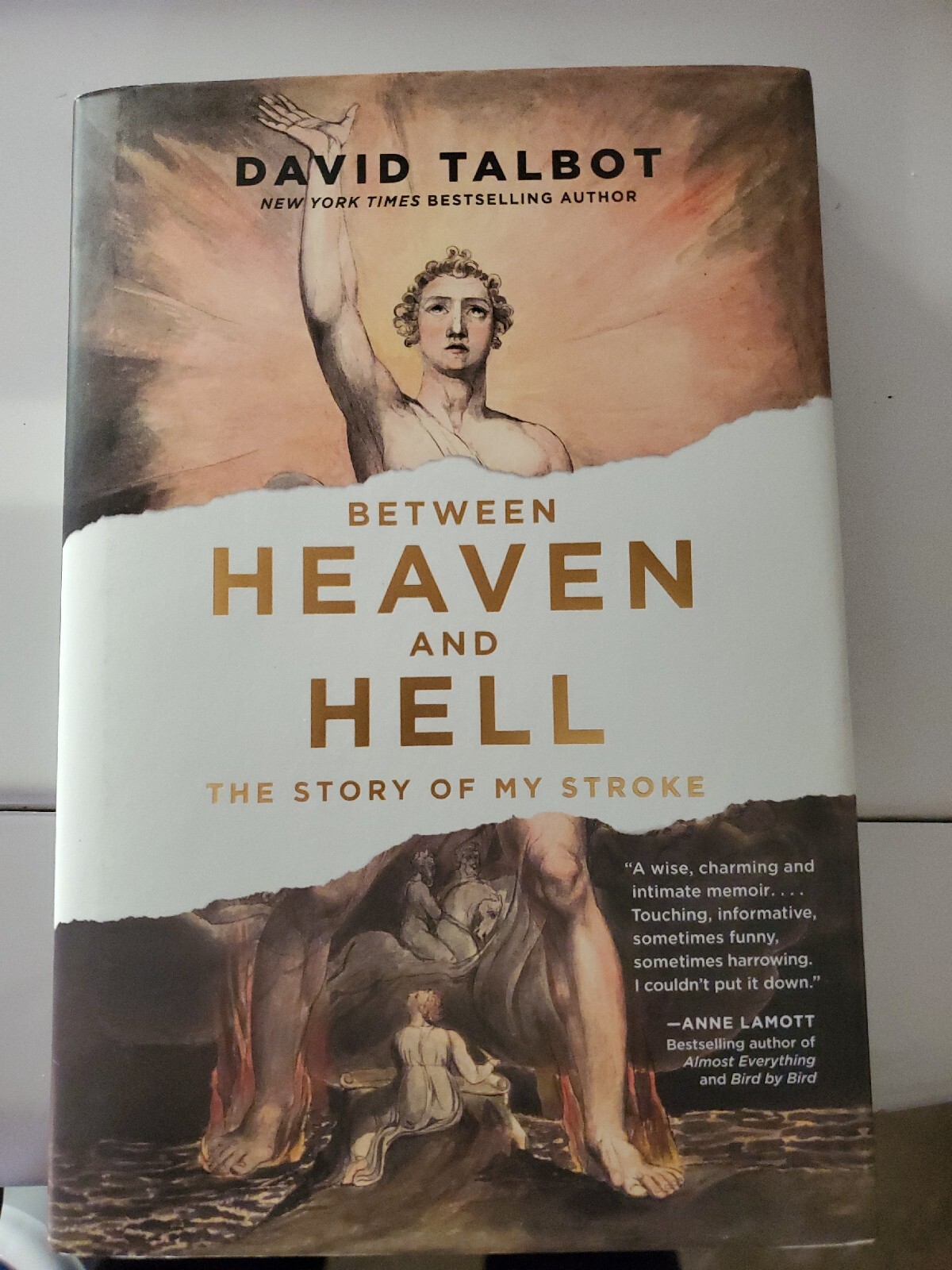 Between Heaven and Hell : The Story of My Stroke by David Talbot (2020,…