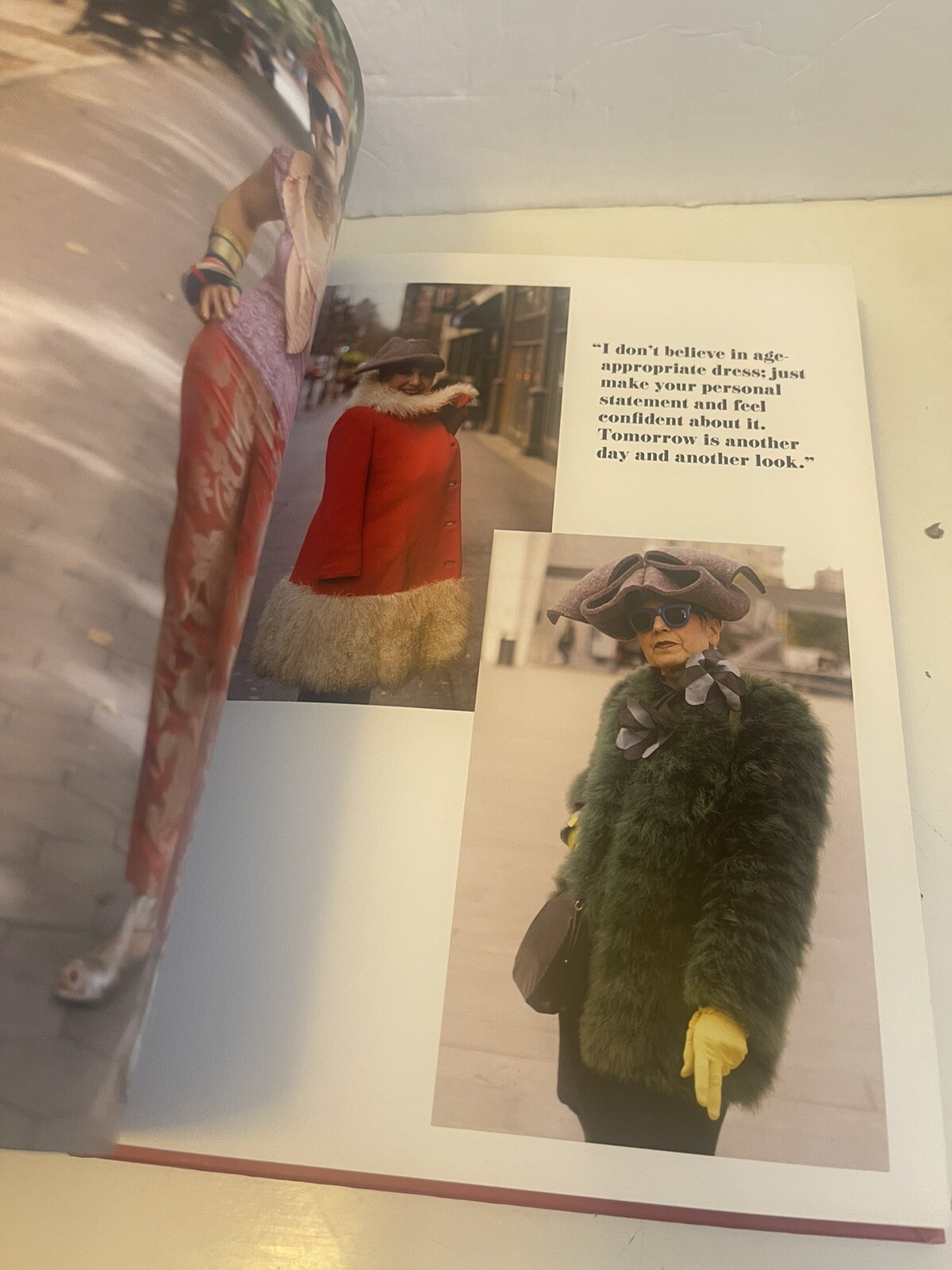 Advanced Style by Ari Seth Cohen (2012, Hardcover First Edition)