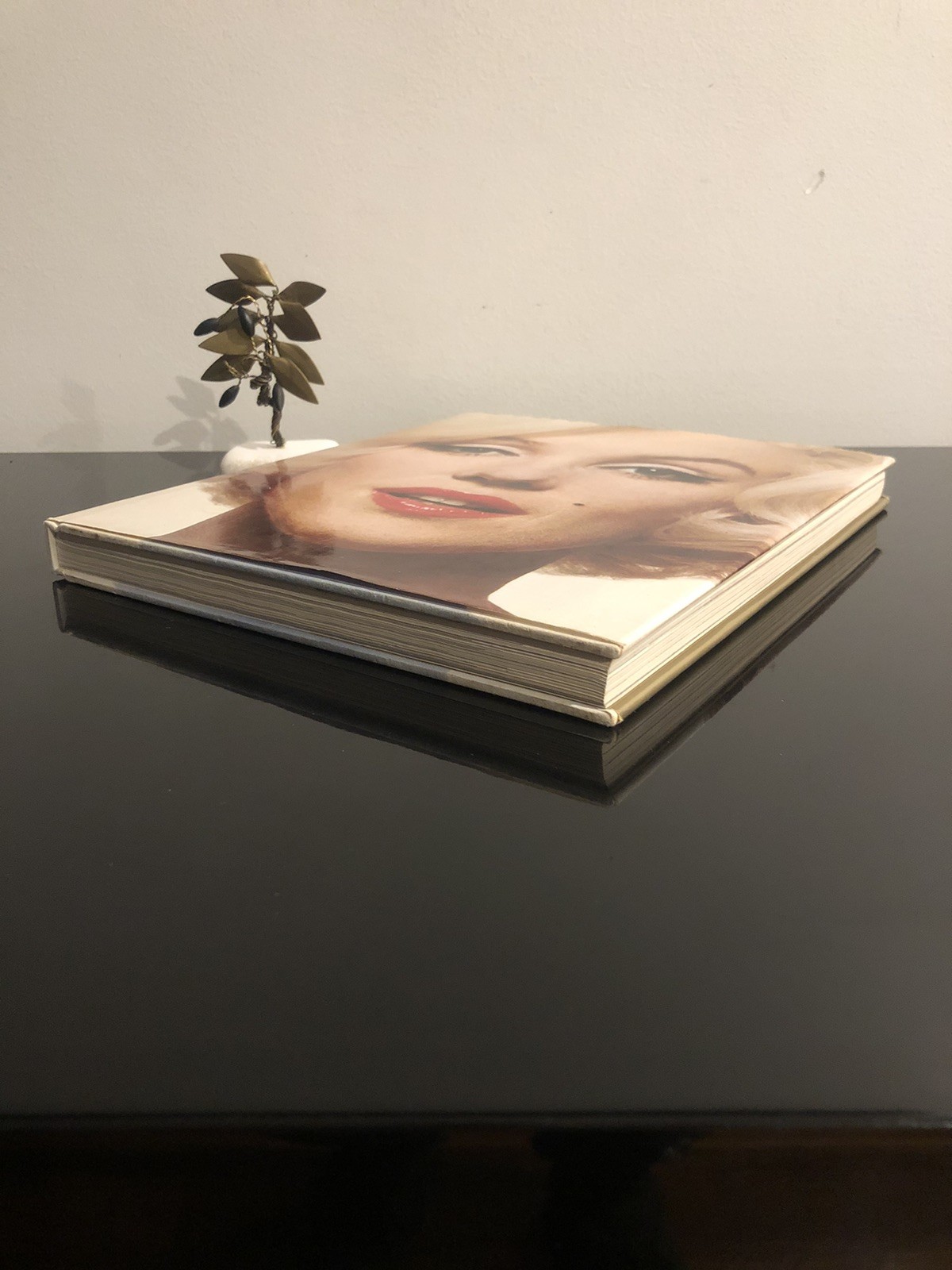 Marilyn A Biography Norman Mailer Spring Books 1989 Reprint HC DJ VG 🎬