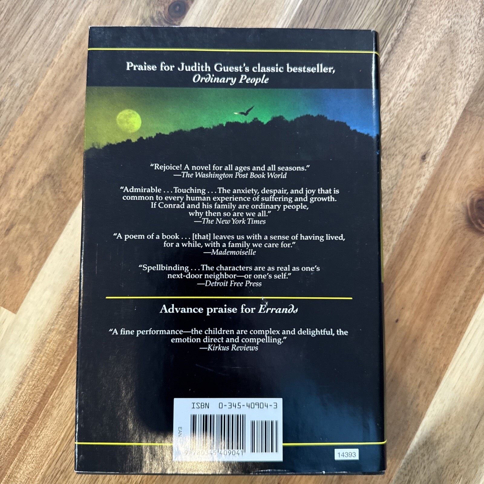 Errands by Judith Guest (1997, Hardcover)