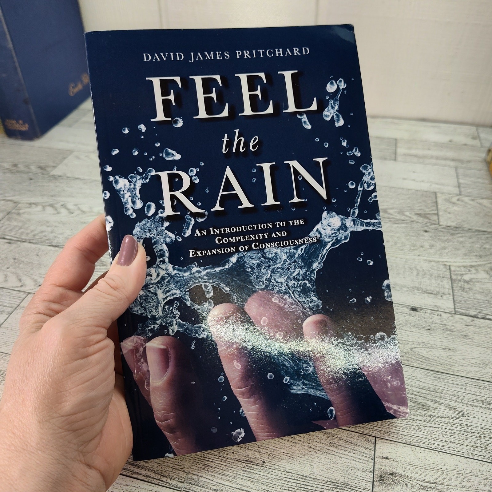 Feel the Rain David James Pritchard 2021 BookBaby Trade Paperback Consciousness