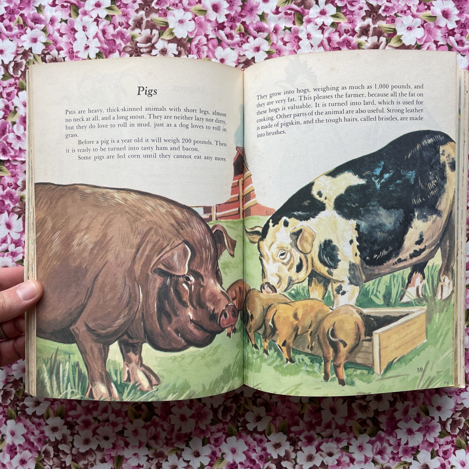 Children’s Guide to Knowledge Parents’ Magazine Press (1974 VTG Illustrated HC)