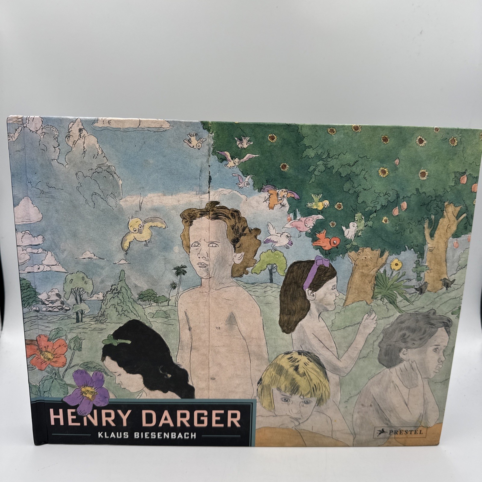 Henry Darger by Klaus Biesenbach (2014, Hardcover)