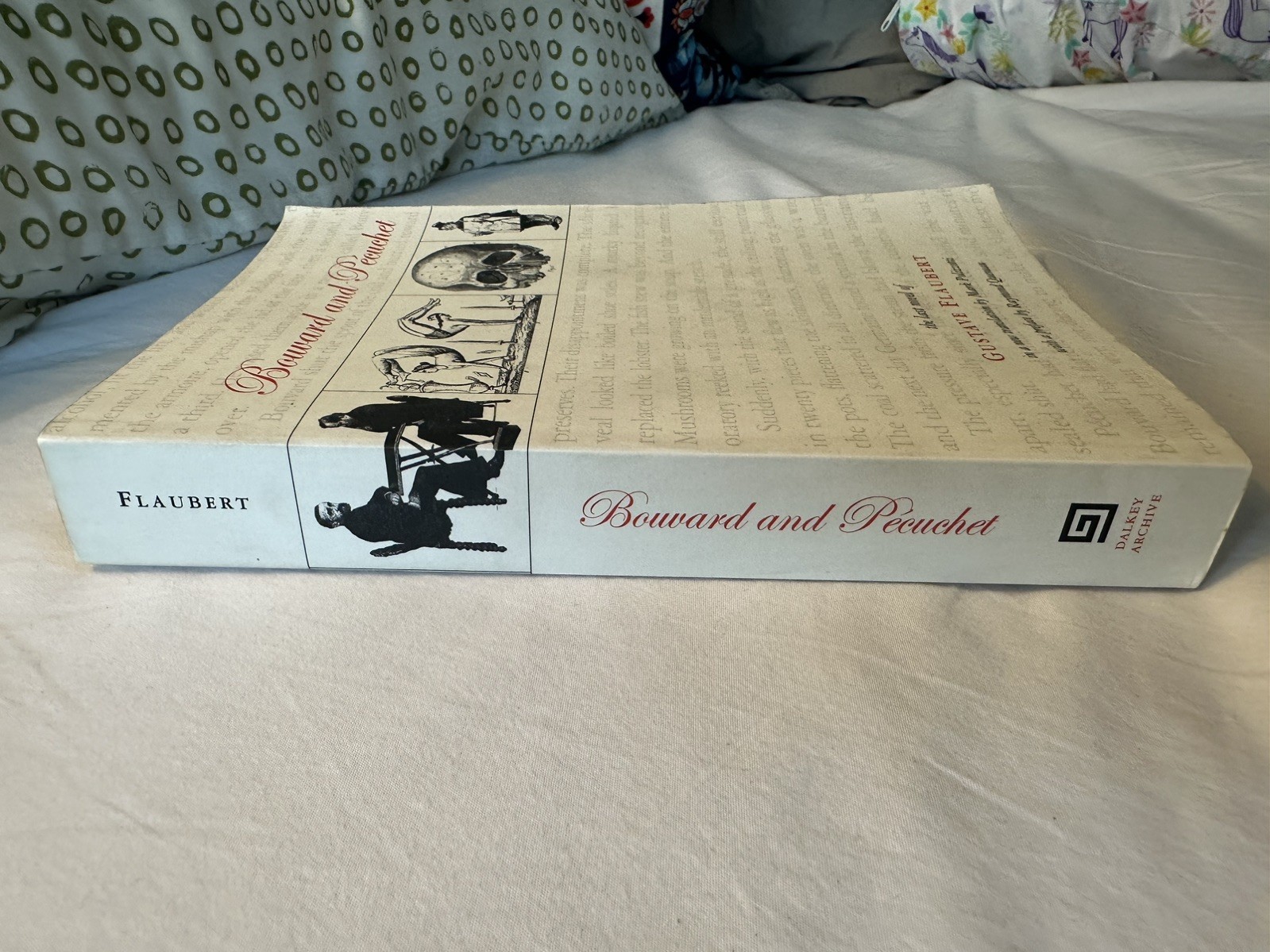 Bouvard and Pecuchet by Gustave Flaubert Paperback Dalkey Archive Press