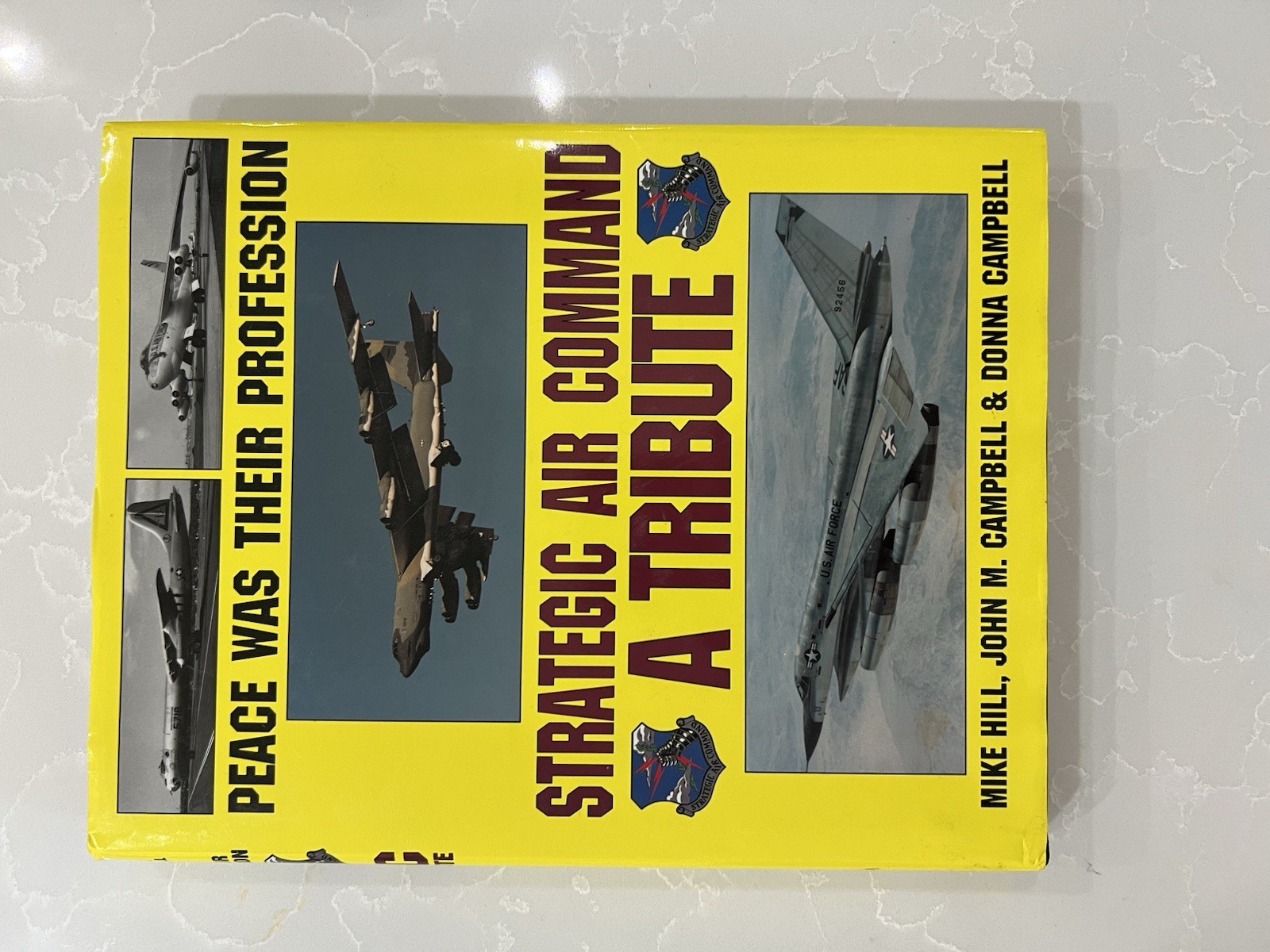 Peace Was Their Profession: Strategic Air Command: A Tribute