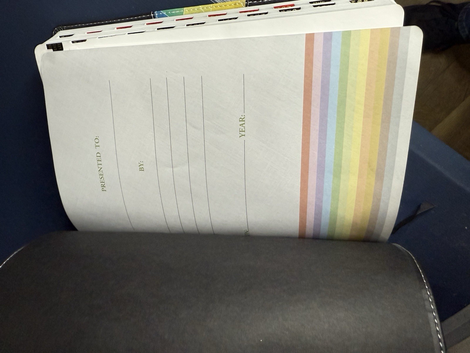 NIV Rainbow Study Bible, Black Leather Touch Kaleidoscope Indexed Holman