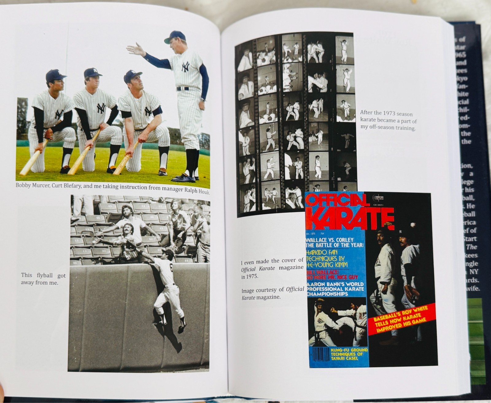 Roy White: From Compton to the Bronx by Semendinger, Paul R ***BRAND NEW***