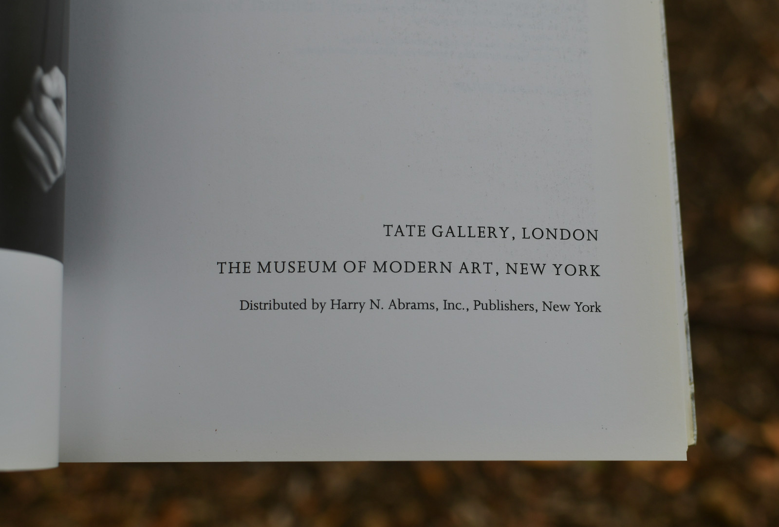 Robert Ryman By Robert Storr Softback: 236 pages   English Tate