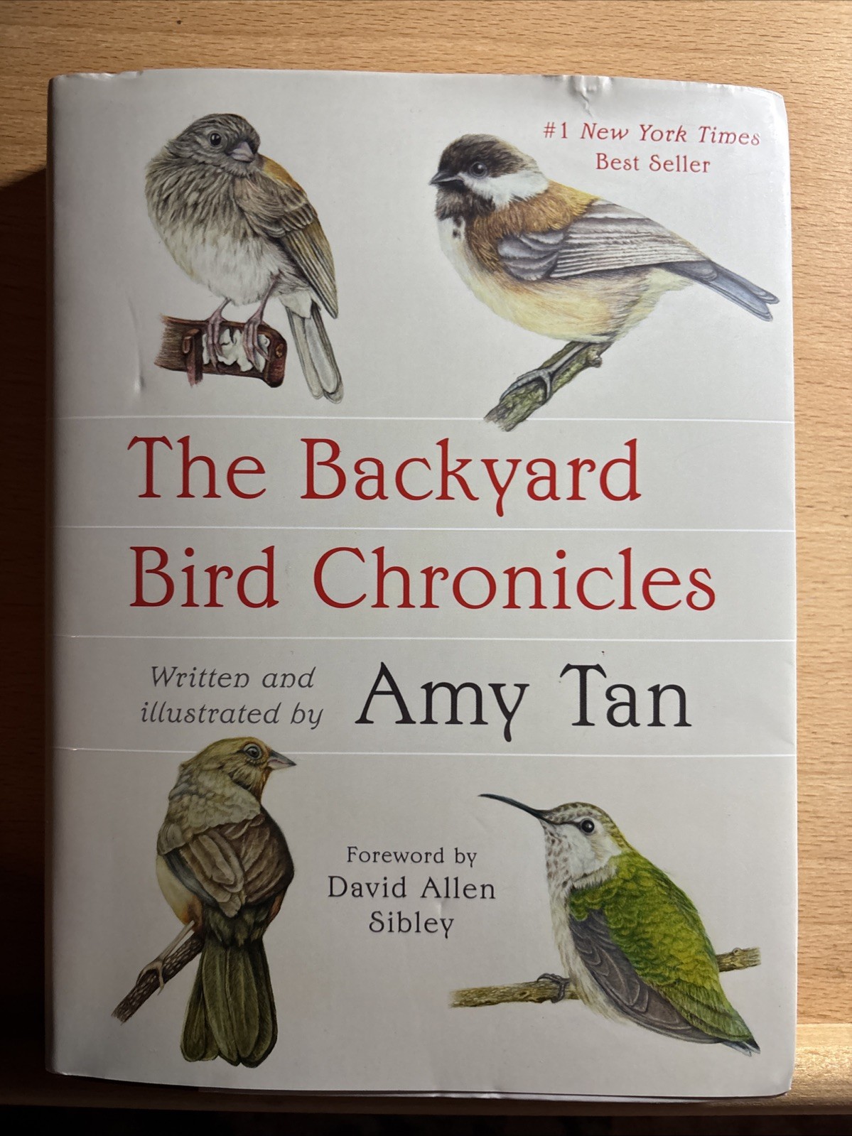 The Backyard Bird Chronicles, Amy Tan, Adorable Illustrations