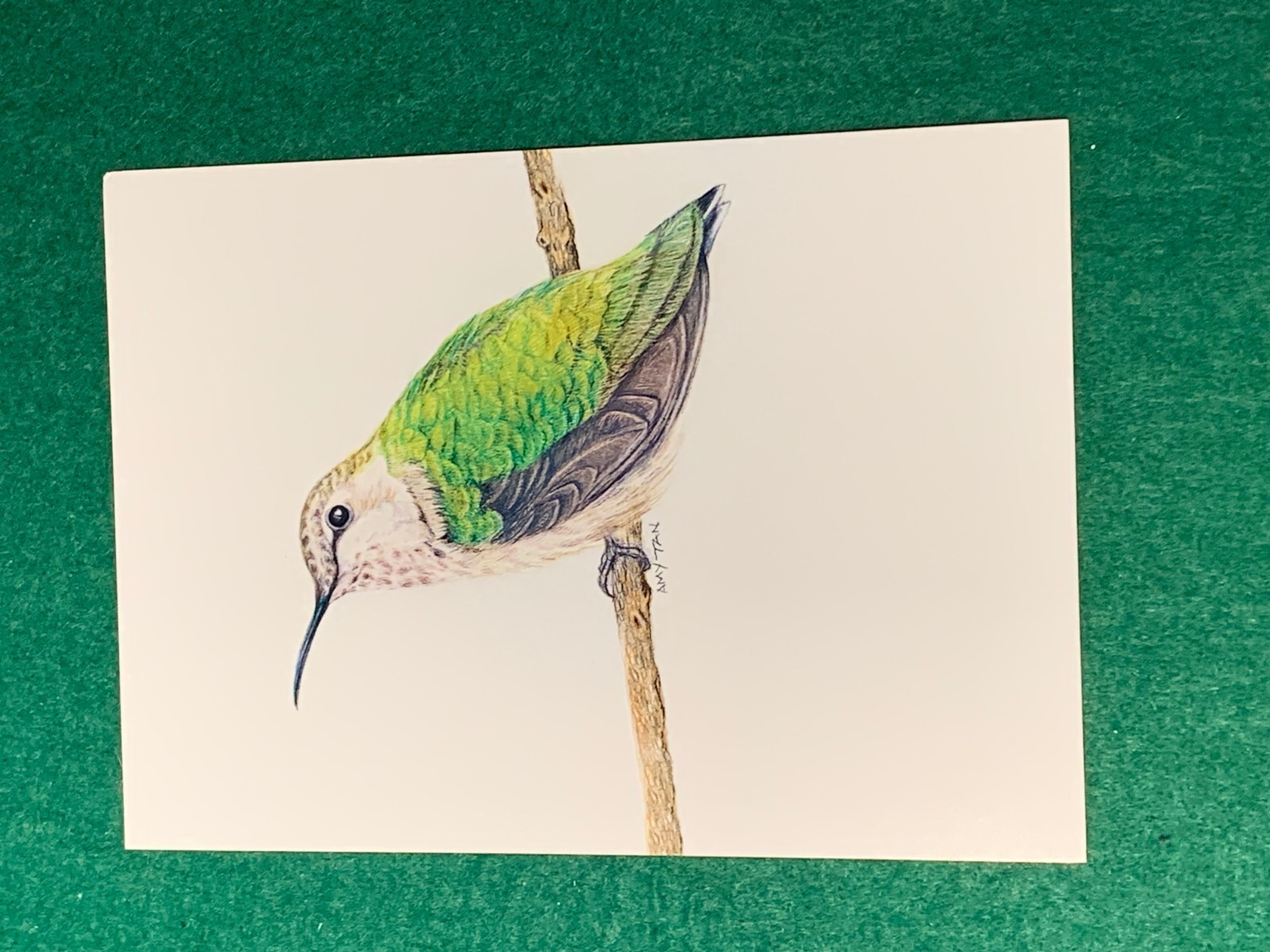 The Backyard Bird Chronicles Amy Tan SIGNED BOOKPLATE w/ Postcard 4th Print 2024