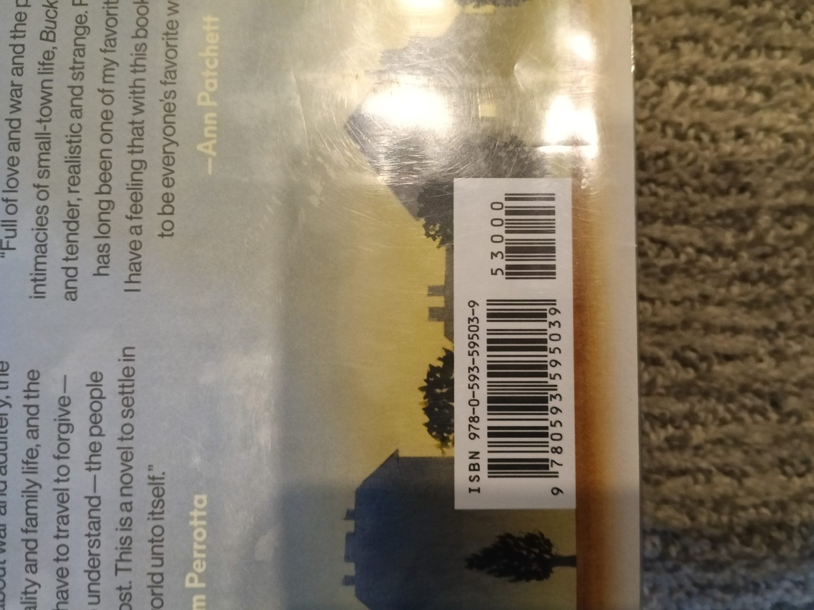 Buckeye Patrick Ryan: A Novel Napolitano, Ann Hardcover (2023) [VG]
