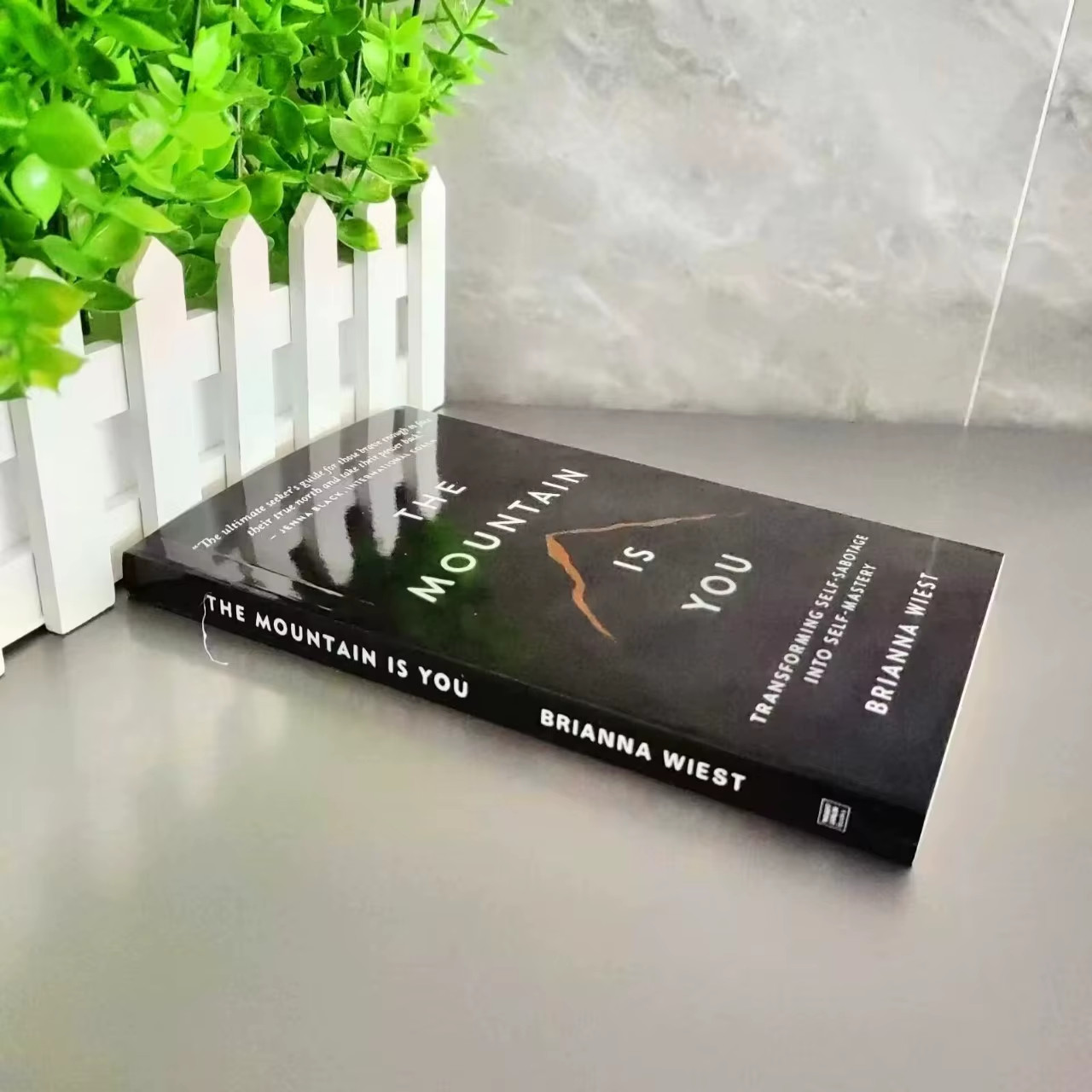 The Mountain Is You by Brianna Wiest: Conquer Your Inner Mountains – Paperback