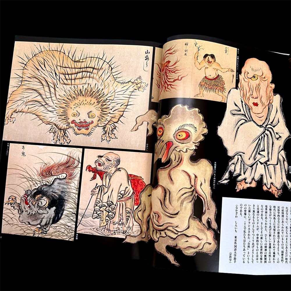 Japanese YOKAI Monsters 1987 Tattoo Art Reference Book Demons Goblins Kappa