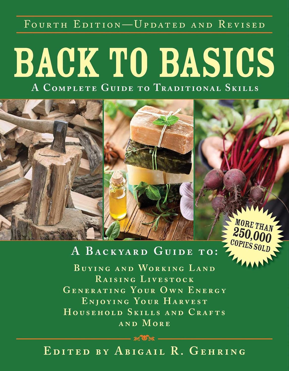 Back to Basics: a Complete Guide to Traditional Skills (Back to Basics Guides)