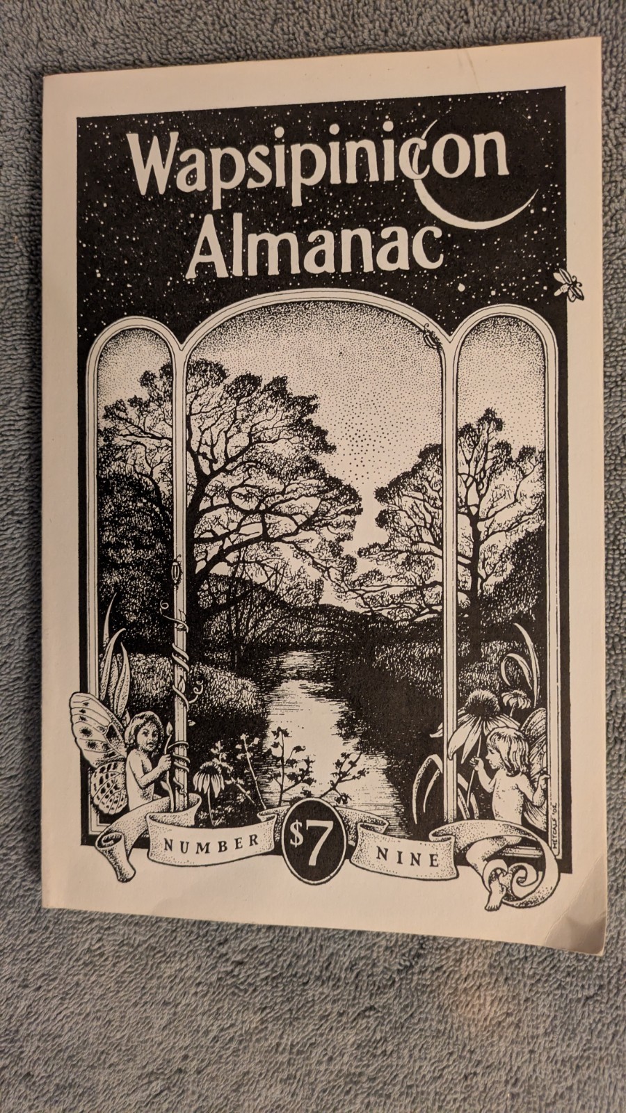 Timothy Fay, WAPSIPINICON ALMANAC #9 Anamosa Iowa, 160 Pages, Essays, Literature